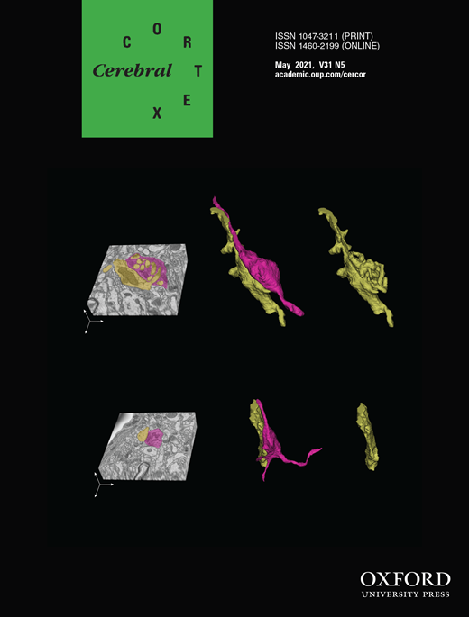 Cover Picture: Cross-sectional view (left) and 3D reconstruction (middle and right) of an axon from cortical layer 5 (magenta) and its connecting dendrite (yellow) in the stack volume taken with serial block face scanning electron microscopy of the mouse posterior thalamic nucleus in a wild-type (upper panel) and a Snap25 conditional knockout (lower) brains at P18. There are excrescences on the contact surface of the dendrite in the wild type brain (upper right), but not in the Snap25 cKO brain (lower right). See Hayashi et al. 2021. Maturation of complex synaptic connections of layer 5 cortical axons in the posterior thalamic nucleus requires SNAP25. Cereb Cortex 31(5): 2625-2638.