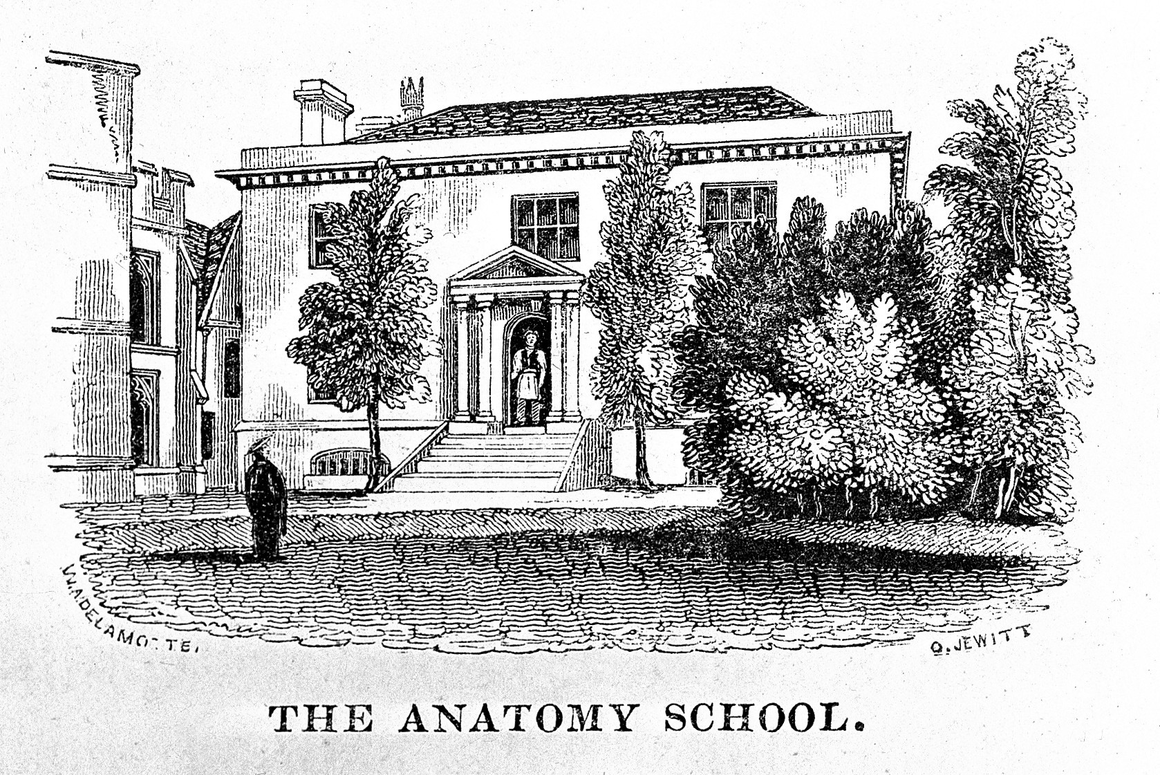 Engraving of the Anatomy School with a student in front in traditional robes