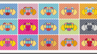 15 fruit fly brains in a colourful grid design
