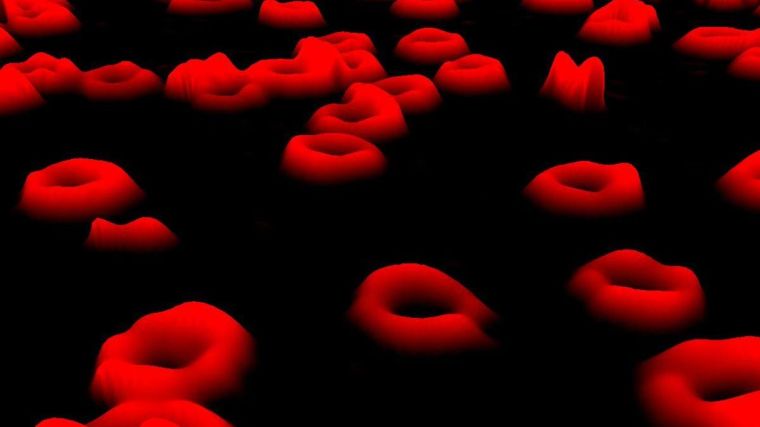 Digital holographic microscopy (DHM) image of red blood cells by Engelberg on Wikimedia commons