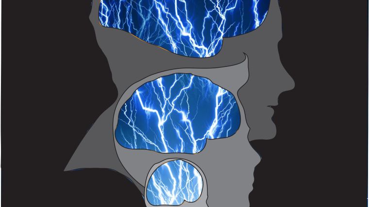 Overlaid silhouettes of adult, adolescent, infant and baby craniums, highlighting neuronal circuits in their brains.