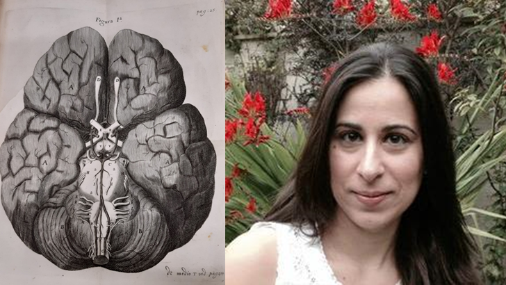 Cerebri Anatome illustration of the Circle of Willis (Christopher Wren), and an informal portrait taken outside of Chystalina Antoniades
