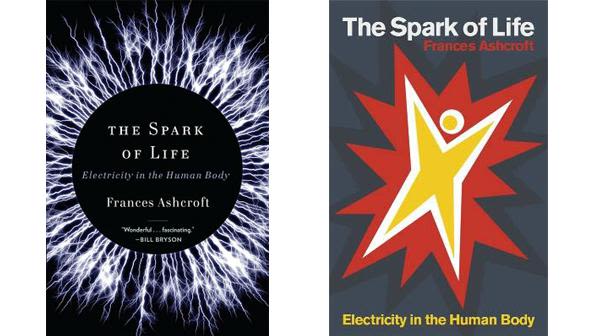The Spark of Life Electricity In The Human Body