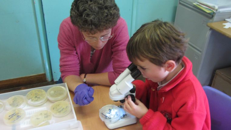 Workshops and science clubs in St Nicholas Primary School