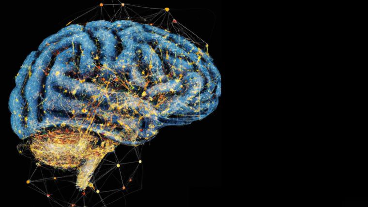 AI-driven brain-wide computational models of learning.