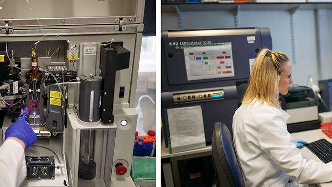 The Facility offers access to state-of-the-art flow cytometers and provides a bespoke cell sorting service, as well as comprehensive support on panel design, flow data analysis and cell sorting.