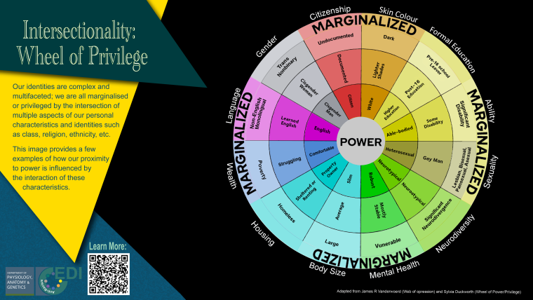 Image showing the wheel of privilege with power in the centre and marginalisation around the edge. It shows how we are all marginalised or privileged by the intersection of aspects of our characteristics or identities and our proximity to power is influenced by the interaction of these characteristics. Examples shown (with privileged characteristic listed first and marginalised characteristic listed last) are citizenship (citizen, documented, undocumented), skin colour (white, lighter shades, dark), formal education (higher education, post-16 education, pre-16 school leaver), ability (able-bodied, some disability, significant disability), sexuality (heterosexual, gay man, lesbian/bisexual/pansexual/asexual), neurodiversity (neurotypical, neuroatypical, significant neurodivergence), mental health (robust, mostly stable, vulnerable), body size (slim, average, large), housing (property owner, sheltered or renting, homeless), wealth (comfortable, struggling, poverty), language (English, learned English, non-English monolingual), and gender (cisgender man, cisgender woman, trans or non-binary).